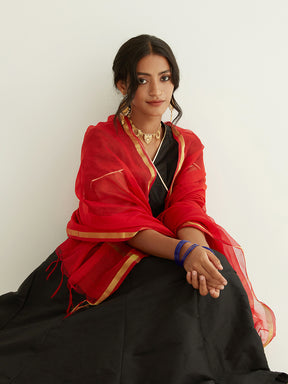 Panelled banarasi angrakha with tulip pants