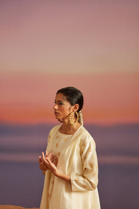 Cloud-Cream Sleeveless Falred Banarasi Kurta